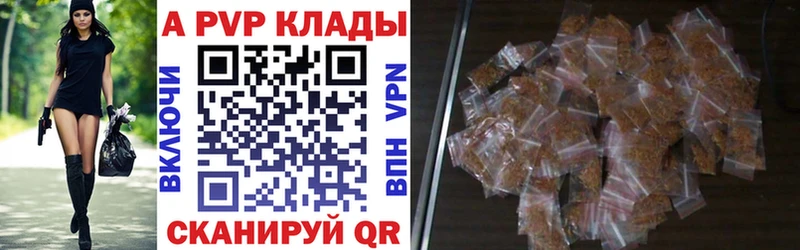 Псилоцибиновые грибы Биробиджан