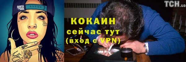 гидра Рославль