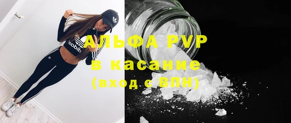 прущие крисы Балахна