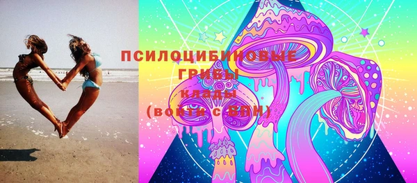 apvp Балабаново