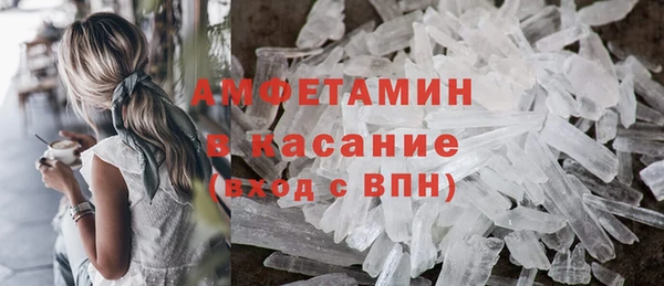 гидра Рославль