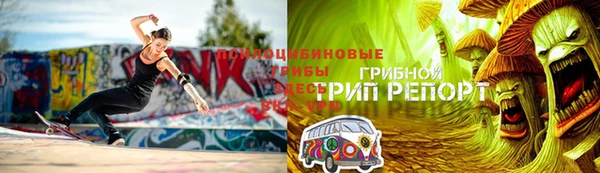 apvp Балабаново