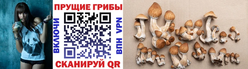 Псилоцибиновые грибы Magic Shrooms  ссылка на мегу зеркало  Биробиджан 