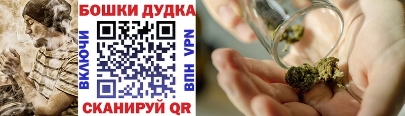 Конопля план  darknet какой сайт  Биробиджан  mega ONION 